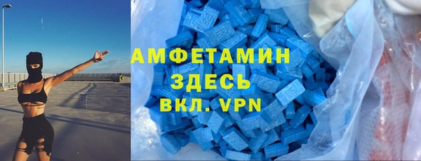 ECSTASY Алзамай