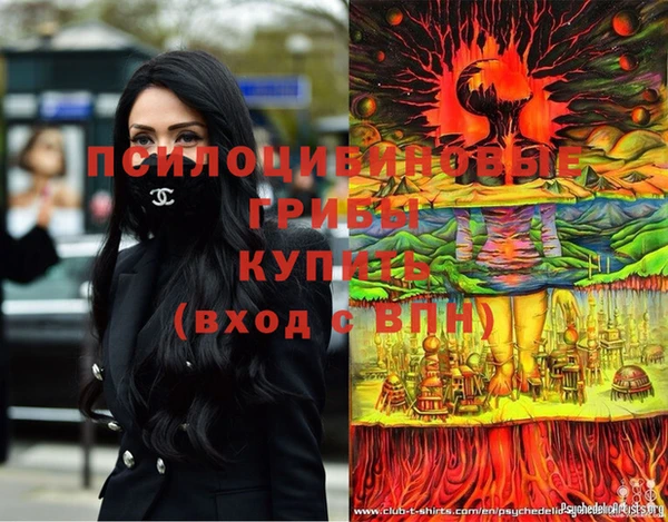 ECSTASY Алзамай