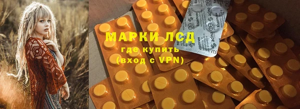 ECSTASY Алзамай