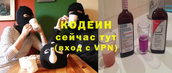 ECSTASY Алзамай