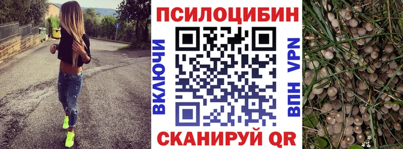 Галлюциногенные грибы Psilocybine cubensis  Гаджиево 